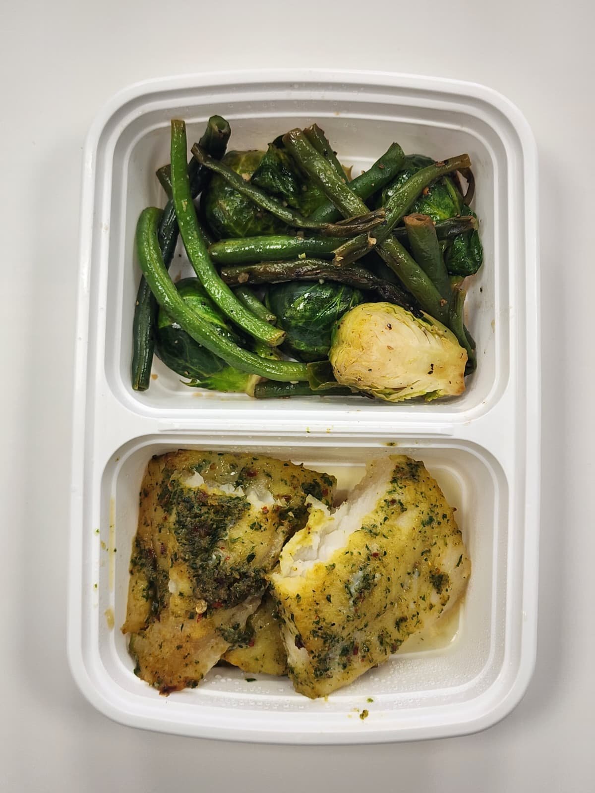 WhatsApp Image 2026-03-10 at 2.35.48 AM (2)